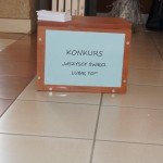 Powiększ zdjęcie Międzyszkolny Konkurs Anioł dla Marci Heleny Freitas 2017