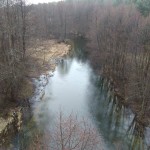 Powiększ zdjęcie Wycieczka - Bory Tucholskie