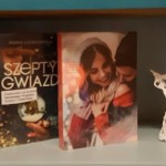 Powiększ zdjęcie 