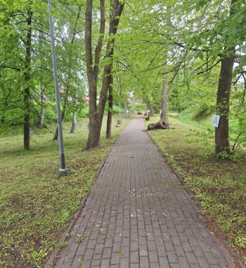 Slajd numer  6