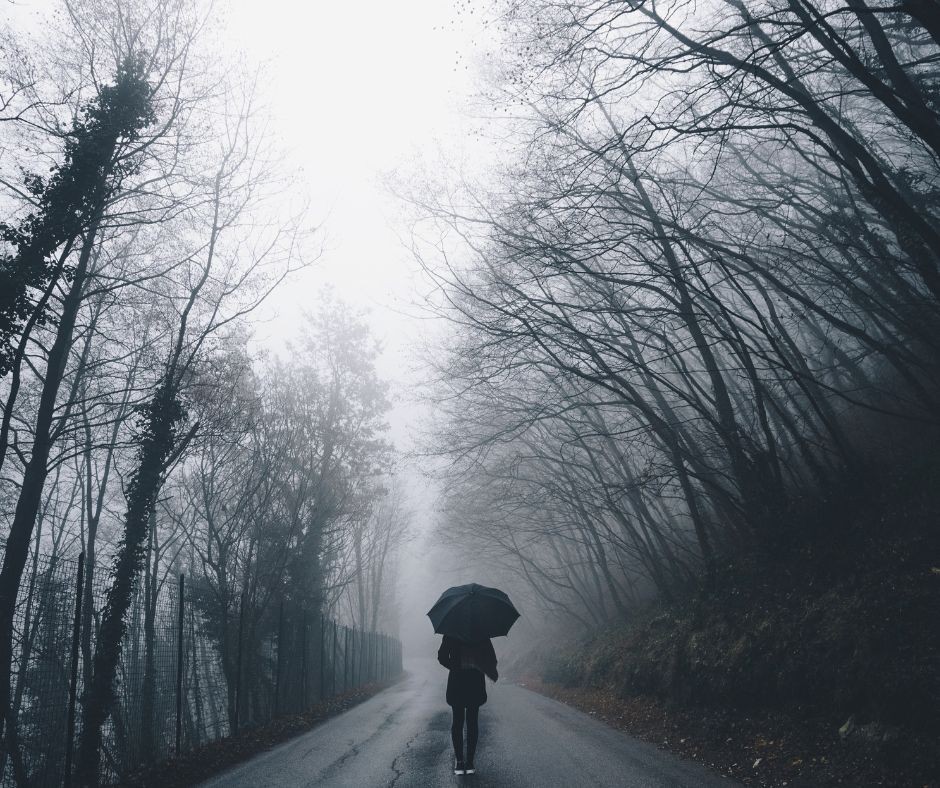 zdjęcie, droga przez las, osoba z parasolem
