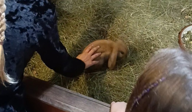 Powiększ obraz: 
